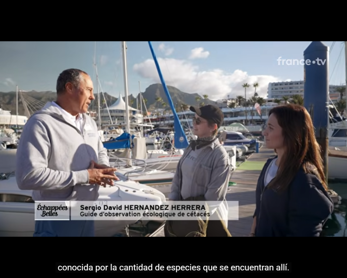 TV broadcast in France